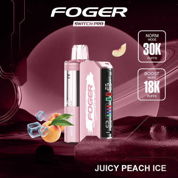 Foger | Pro 30k Disposable Kit