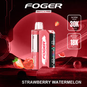 Foger | Pro 30k Disposable Kit