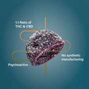 Cornbread Hemp | THC 1:1 Gummies 200 mg / 20 Pack