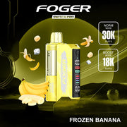 Foger | Pro 30k Disposable Kit