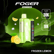Foger | Pro 30k Disposable Kit