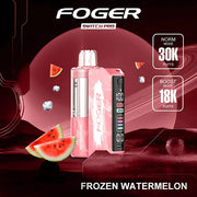 Foger | Pro 30k Disposable Kit